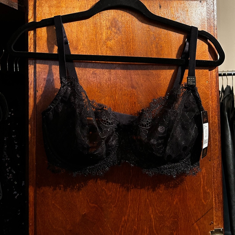 Dita Von Teese Bra